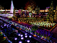Tokyo Ashikaga Flower Park