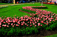 Bendigo
