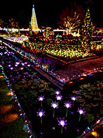 Tokyo Ashikaga Flower Park