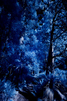 Infra Red Lake Sanitarium