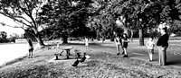 Bendigo Street Candids