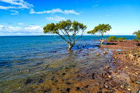 Cleveland, Brisbane