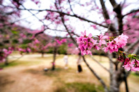 Formosa Aboriginal Culture Village