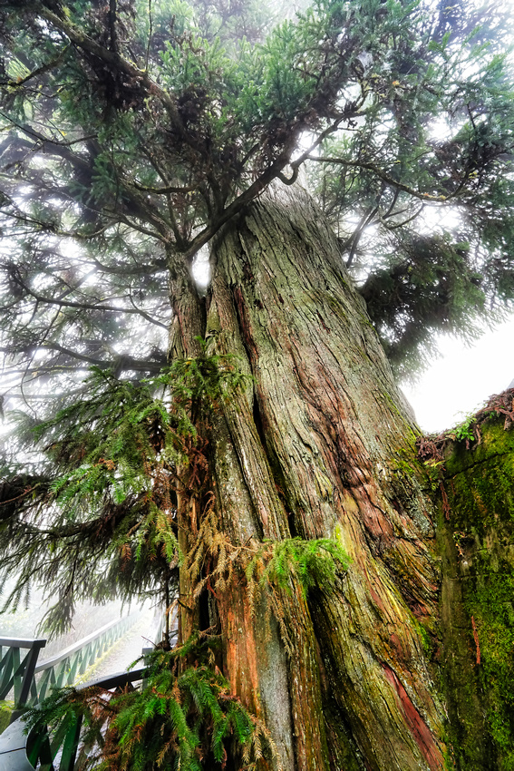 HeHuan Mountain, Taiwan