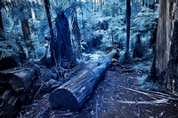 Infrared Sherbrooke