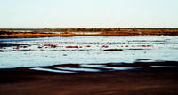 Lake Tyrell Sunset Saltworks