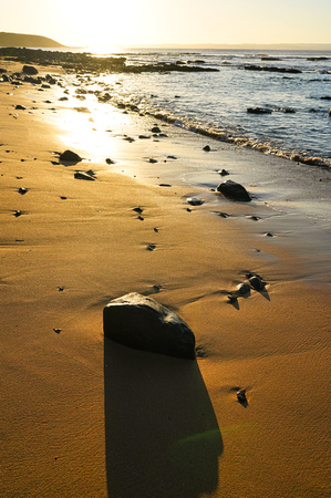 Cat bay, Phillip Island