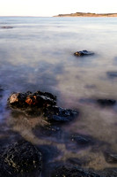 Cat bay, Phillip Island