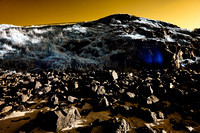 Infrared Cat Bay