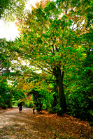 Alfred Nicholas Garden, Melbourne