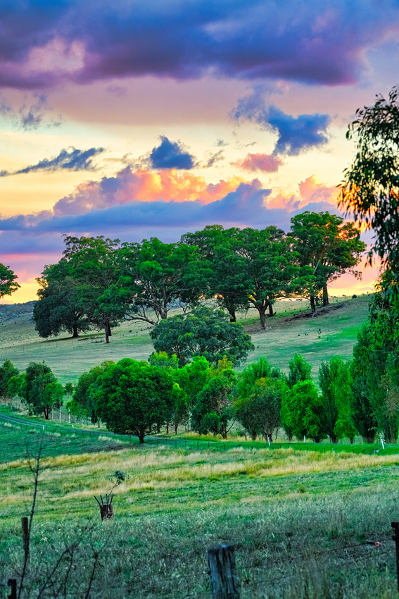 Mount Alexander, Maldon