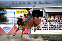 Whittlesea Rodeo