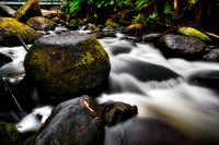 Torongo Creek