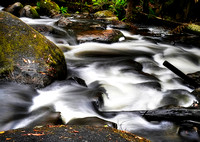 Torongo Creek
