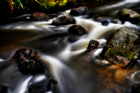 Torongo Creek