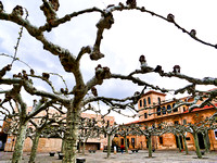 Zamora, Spain
