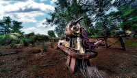Forest Diggings Goldfield