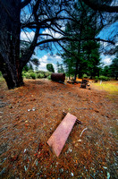 Forest Diggings Goldfield