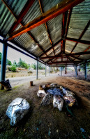Forest Diggings Goldfield