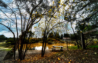 Forest Diggings Goldfield