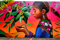 Footscray, Melbourne