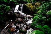 Toorongo Falls, Noojee