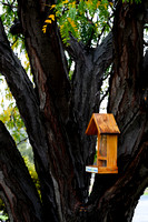 Barham, NSW