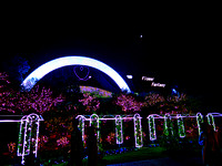 Tokyo Ashikaga Flower Park