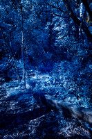 Infra Red Lake Sanitarium
