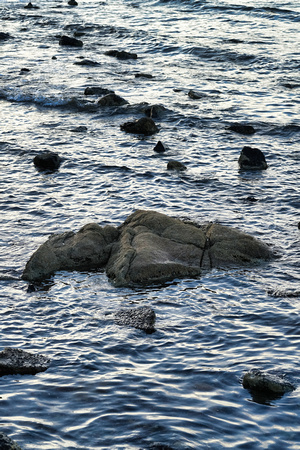 Frankston Pier, Melbourne