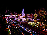 Tokyo Ashikaga Flower Park