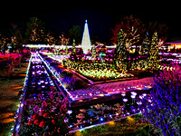 Tokyo Ashikaga Flower Park