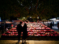 Tokyo Ashikaga Flower Park